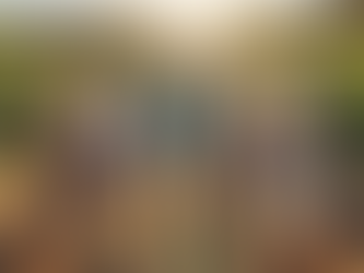 7 Tips to Manage Retirement Portfolio Risks Effectively