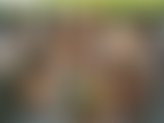 Temecula Spa and Wine Day: Your Relaxation Guide