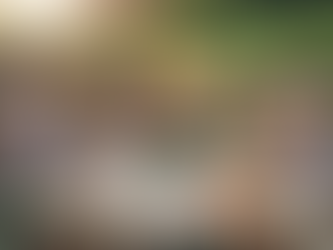 7 Key Bond Strategies for Senior Investors' Portfolios