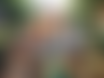 401(k) Rollover Guide: Benefits, Steps, and Considerations