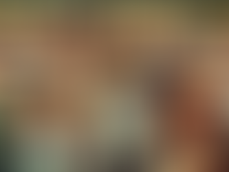 Choosing the Best Horse Boarding Club in California