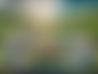 8 Low-Volatility Investments Every Retiree Needs