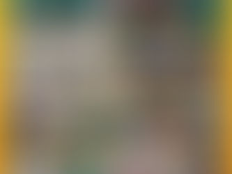 ASISC Zonal Taewondo Competition