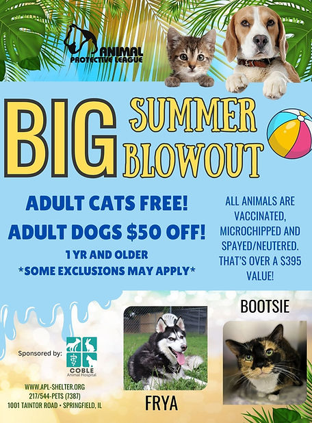 Summer BlowOut.jpg