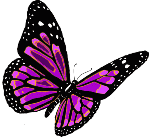 My Metamorphosis…