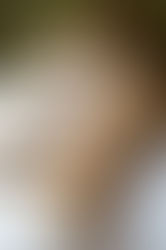 What is Hot Stone Massage?  And what are the benefits?