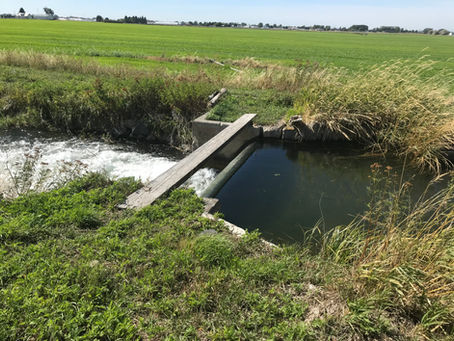 Irrigation Water Check(Dam)