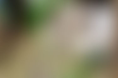 A farm that knows all our animals - by name.