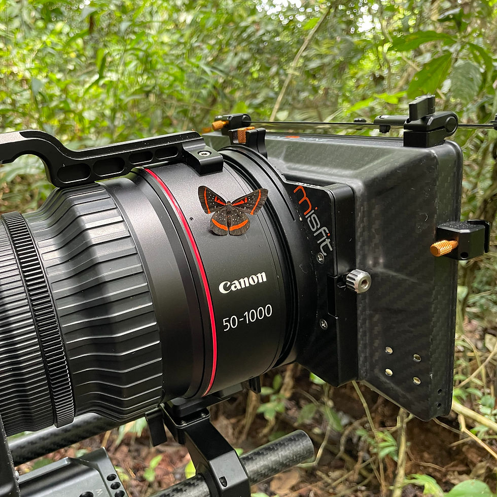 Photo 23-10-2024, 10 52 54_edited.jpg