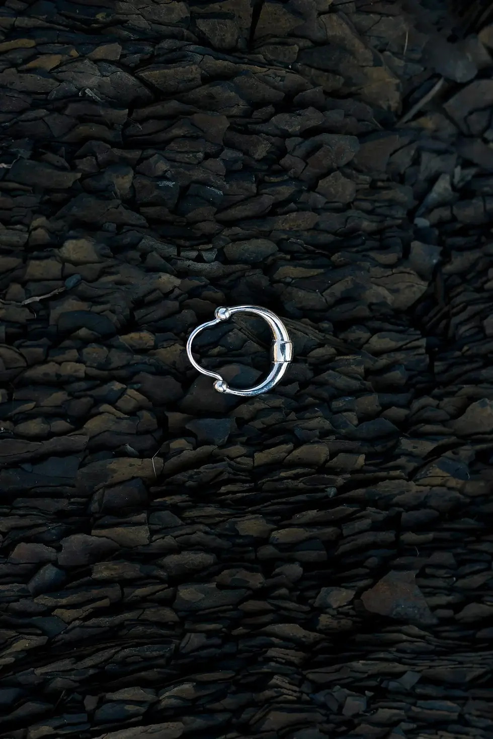 Прев'ю: Моносережка козацька велика