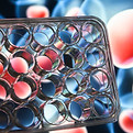 Predictive Drug Response