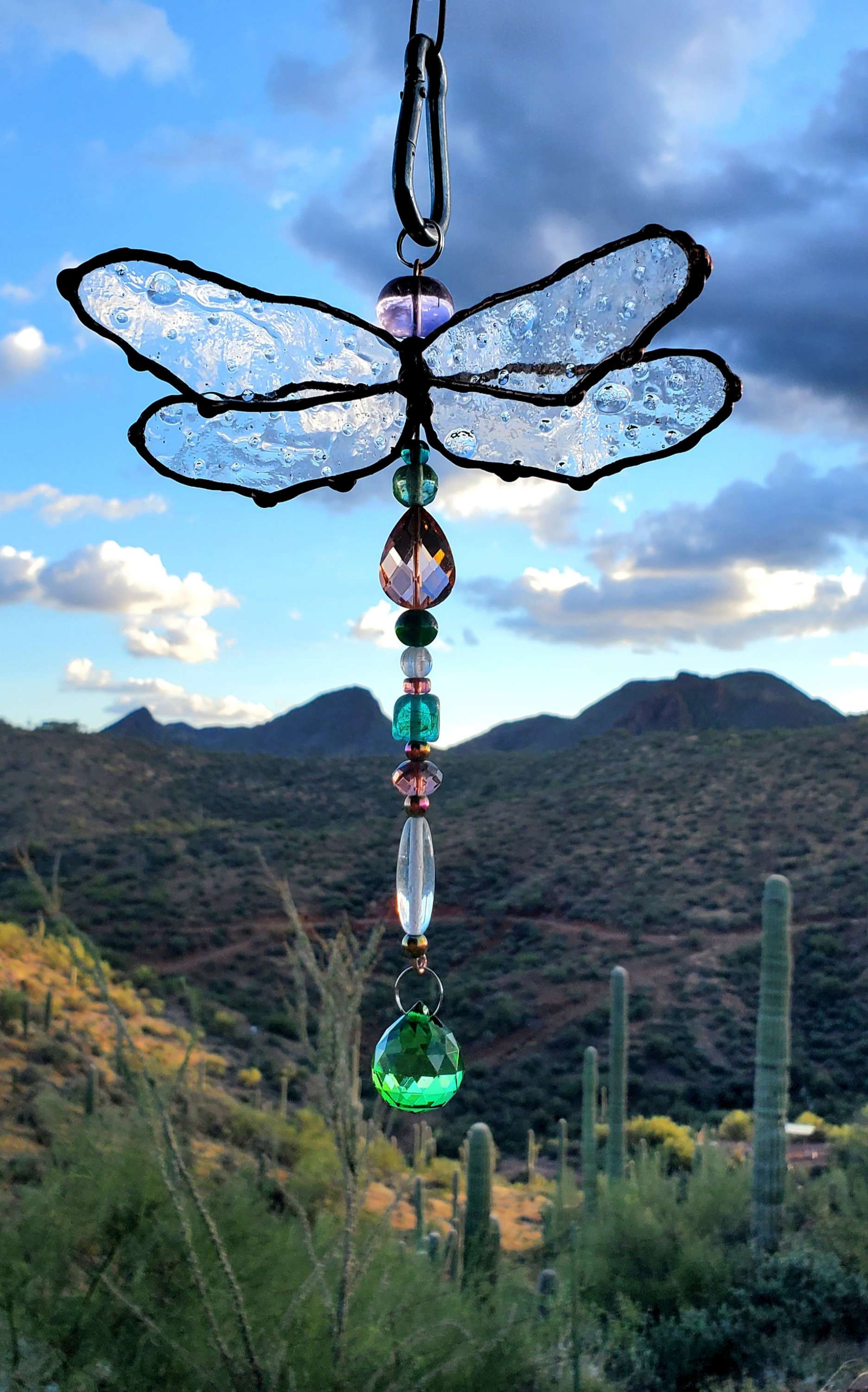 Bubbly clear winged dragonfly