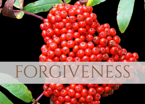FORGIVENESS- Of one's self