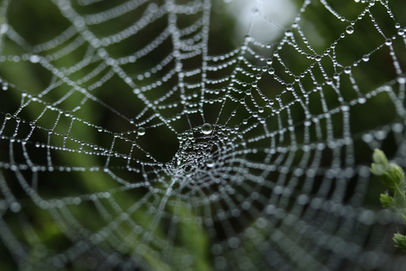 Get Outdoors for Hallow'een