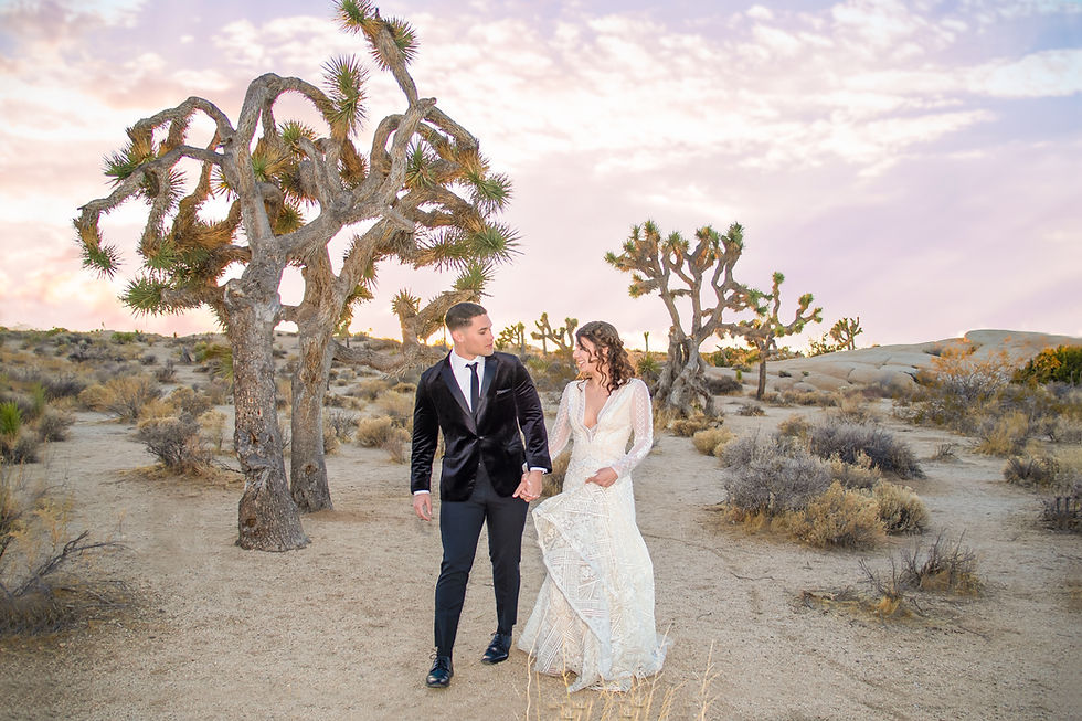 Wide angle view of Joshua Tree National Park with iconic Joshua trees and rocky landscape