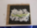image4.jpeg