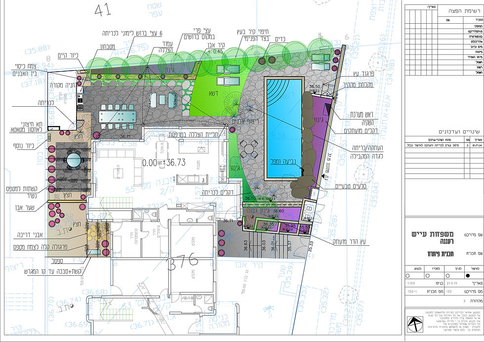 תכנית פיתוח