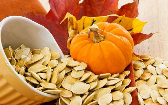Los 5 mejores beneficios de las semillas de calabaza para la salud!