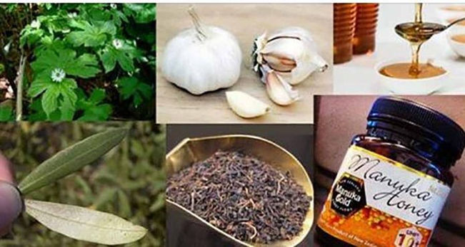 8 PODEROSOS ANTIBIÓTICOS ORGÁNICOS Y REMEDIOS ANTIBACTERIANOS QUE DEBERÍAN ESTAR EN TODOS LOS HOGARE