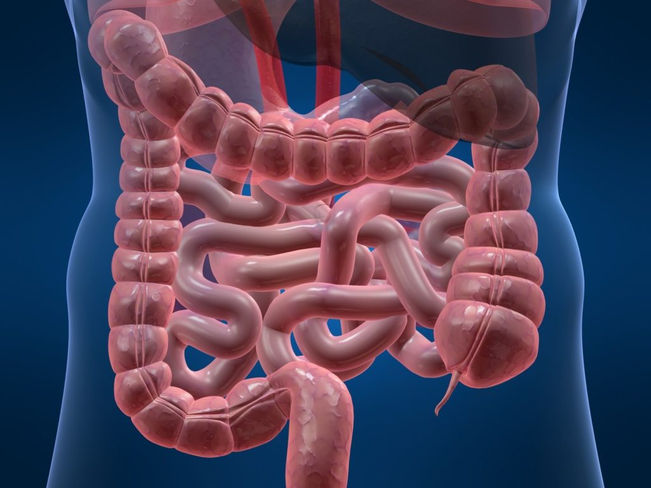 6 hechos inusuales sobre como la salud de los intestinos afecta a todo el cuerpo.