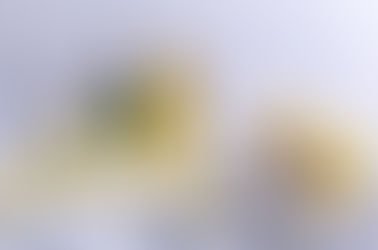 El aceite comestible ideal para freír los alimentos!