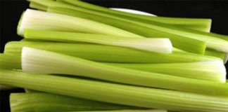Esto puede salvar a miles de personas: un estudio muestra que el apio destruye el 86% de las células
