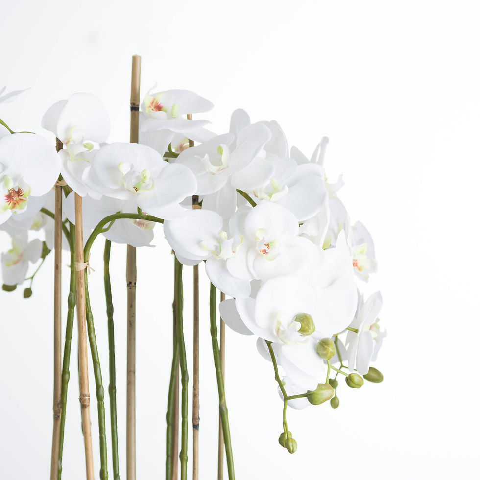 Thumbnail: Close up of faux white orchid blooms