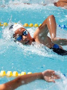 Hay 13 nuevas marcas