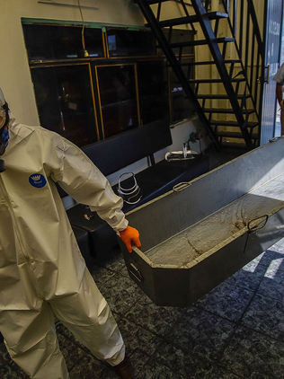 De vida o muerte la protección y alejamiento de persona a persona: OMS