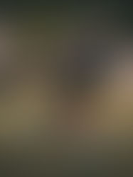 Mustangs impone condiciones