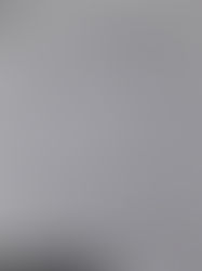 Asegura ex alcalde que no están organizadas fiestas en Zinacantán