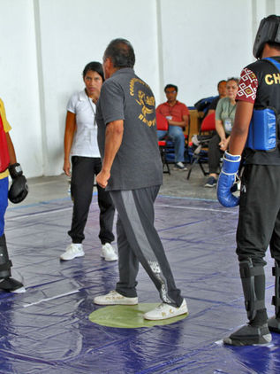 Capacitan en reglamento