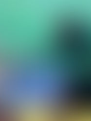 México busca el oro femenil