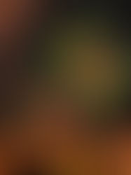 Misiles antiaéreos resguardarán toma de posesión de Bolsonaro en Brasil