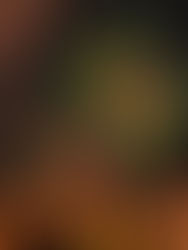 Misiles antiaéreos resguardarán toma de posesión de Bolsonaro en Brasil