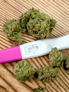 Exposición a THC en el embarazo afectaría desarrollo fetal y placentario