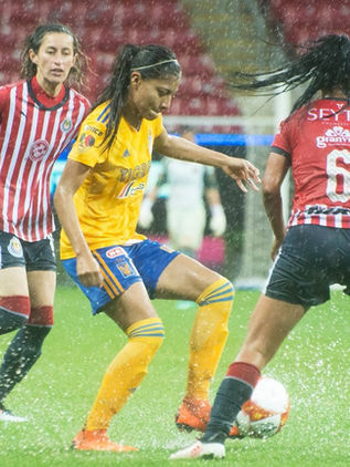 Ven posibilidades en México