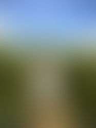 Proponen fomentar el orgullo hacia pueblos indígenas