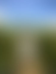 Proponen fomentar el orgullo hacia pueblos indígenas