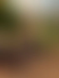 La inteligencia artificial facilita la difusión de mentiras contra los migrantes