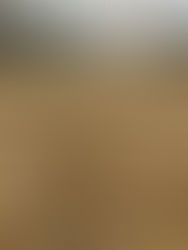 Crean secador solar para café; ahorra más de cien mil pesos al mes