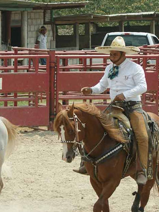 Buena fiesta en Tecpatán