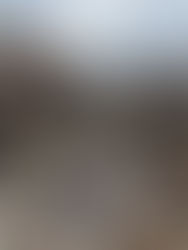 En octubre ocurrieron mil 822 sismos en México