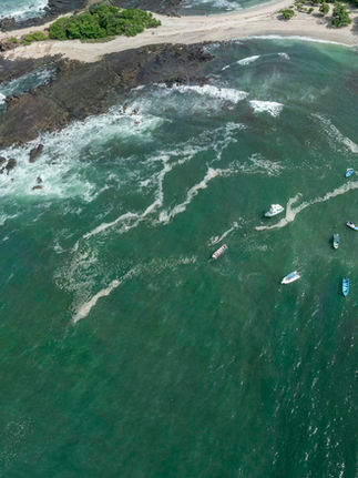 "Ojos en el mar": Tecnología satelital revoluciona la conservación de los océanos en Latinoamérica.