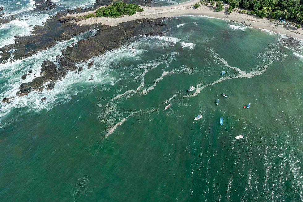 "Ojos en el mar": Tecnología satelital revoluciona la conservación de los océanos en Latinoamérica.