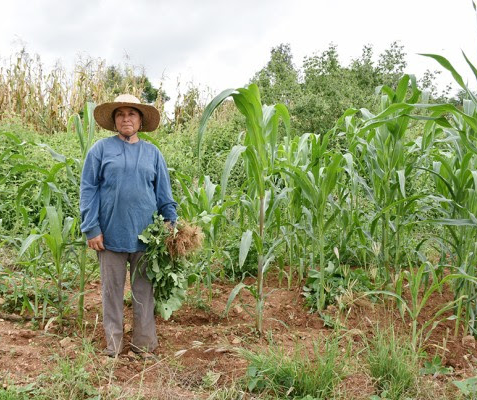 Se lanza Cuarta Campaña Regional #Mujeres Rurales, Mujeres con Derechos