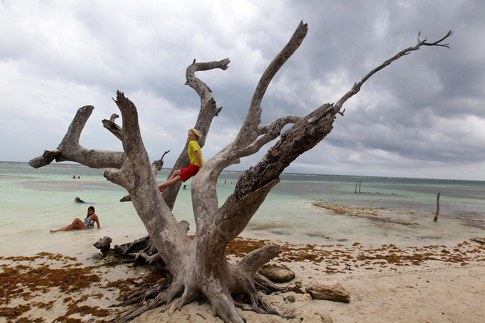 El Gobierno federal tumba el millonario complejo 'Perfect Day' proyectado en Mahahual