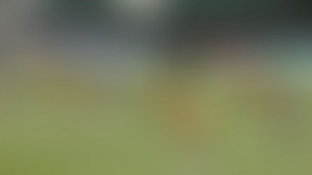 La Selección Mexicana llega como favorita en el papel frente a la escuadra sudafricana en el ranquin FIFA