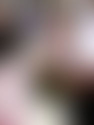 Conviven en San Cristóbal