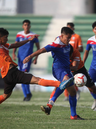 Lechuzas sorprende al Cobach